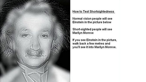 Do You See Einstein Or Monroe?